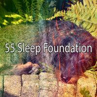 55 Sleep Foundation