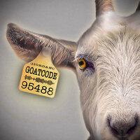 Goat Code