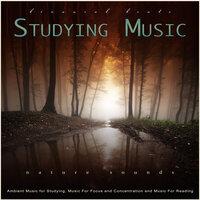 Studying Music: Binaural Beats, Ambient Music and Nature Sounds for Studying, Music For Focus and Concentration and Music For Reading, Relaxation and Study Music