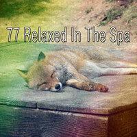 77 Relaxed in the Spa