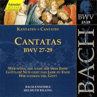Bach, J.S.: Cantatas, Bwv 27-29