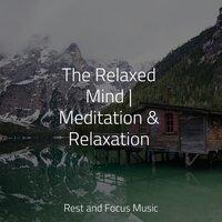 The Relaxed Mind | Meditation & Relaxation