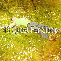 43 Quest for Sle - EP