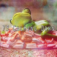 73 Calming Down