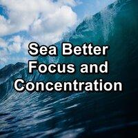Sea Better Focus and Concentration