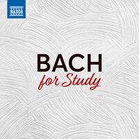 Bach For Study