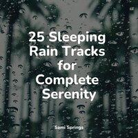 25 Sleeping Rain Tracks for Complete Serenity