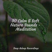 30 Calm & Soft Nature Sounds - Meditation
