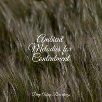 Ambient Melodies for Contentment