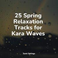 25 Spring Relaxation Tracks for Kara Waves