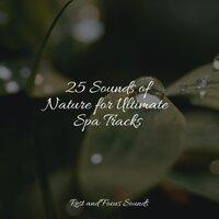 25 Sounds of Nature for Ultimate Spa Tracks