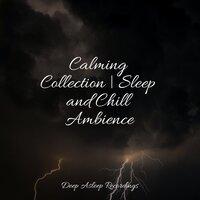 Calming Collection | Sleep and Chill Ambience