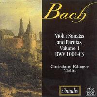 Violin Partita No. 1 in B Minor, BWV 1002: VI. Double