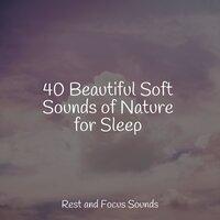 40 Beautiful Soft Sounds of Nature for Sleep