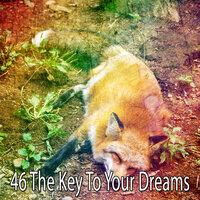 46 The Key to Your Dreams