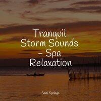 Tranquil Storm Sounds - Spa Relaxation