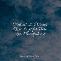 Chillout 35 Winter Recordings for Pure Spa Mindfulness