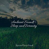 Ambient Sounds | Sleep and Serenity