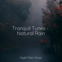 Tranquil Tunes - Natural Rain