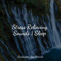 Stress Relieving Sounds | Sleep