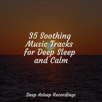 35 Soothing Music Tracks for Deep Sleep and Calm