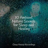 30 Ambient Nature Sounds for Sleep and Healing