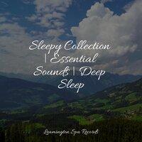 Sleepy Collection | Essential Sounds | Deep Sleep