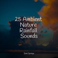 25 Ambient Nature Rainfall Sounds