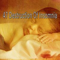 47 Destruction of Insomnia