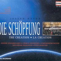 Haydn, F.J.: Schöpfung (Die) (The Creation)