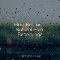 Most Relaxing Natural Rain Recordings