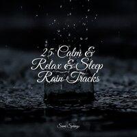 25 Calm & Relax & Sleep Rain Tracks