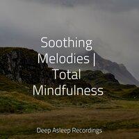 Soothing Melodies | Total Mindfulness