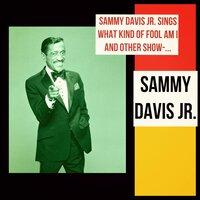 Sammy Davis Jr. Sings What Kind of Fool Am I and Other Show-Stoppers