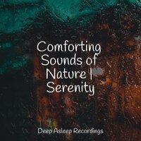 Comforting Sounds of Nature | Serenity