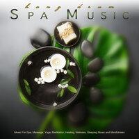 Hang Drum Spa Music: Music For Spa, Massage, Yoga, Meditation, Healing, Wellness, Sleeping Music and Mindfulness