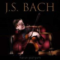 J.S. Bach: Sonata for Violin Solo No. 1 in G Minor, BWV 1001 (Adagio)