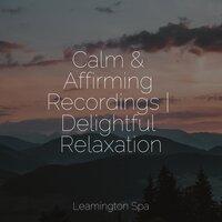 Calm & Affirming Recordings | Delightful Relaxation