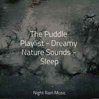 The Puddle Playlist - Dreamy Nature Sounds - Sleep