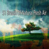 51 Breath of Natural Fresh Air
