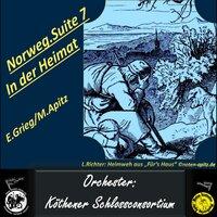 Norwegische Suite Teil 7 In der Heimat E. Grieg ( ) [Violine/Orchester]