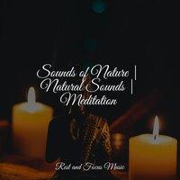 Sounds of Nature | Natural Sounds | Meditation