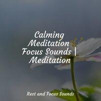 Calming Meditation Focus Sounds | Meditation