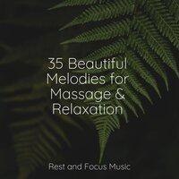 35 Beautiful Melodies for Massage & Relaxation