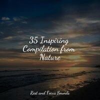 35 Inspiring Compilation from Nature