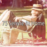 75 Serene At Home