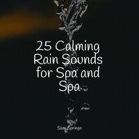 25 Calming Rain Sounds for Spa and Spa