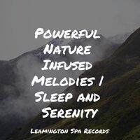 Powerful Nature Infused Melodies | Sleep and Serenity