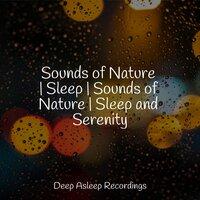 Sounds of Nature | Sleep | Sounds of Nature | Sleep and Serenity