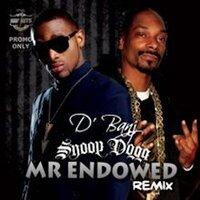 Mr Endowed